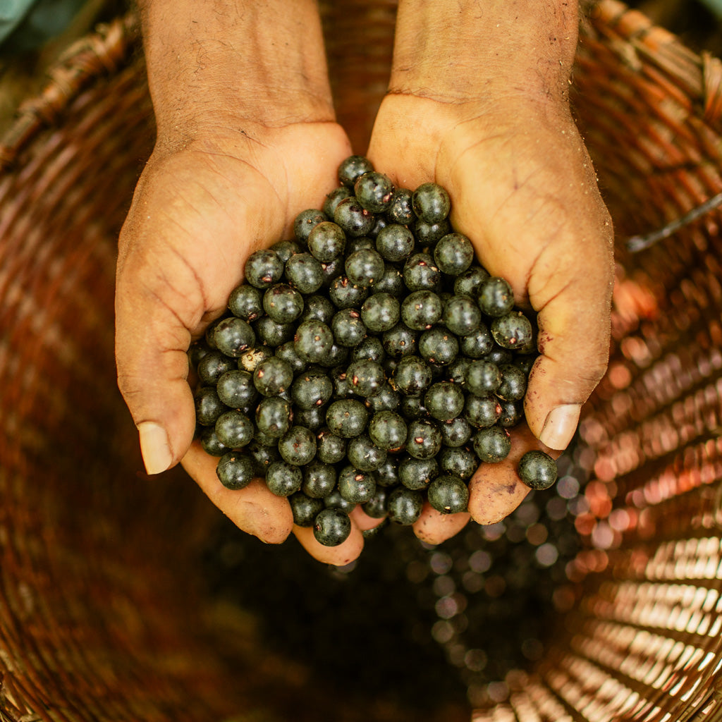 Açaí Conditioner for Damaged Hair