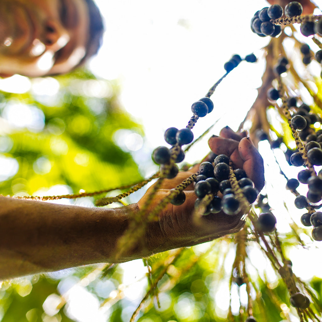 Açaí Exfoliating Body Wash to Protect Your Skin