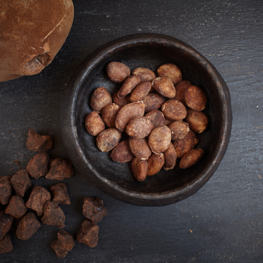 Cupuaçu Shampoo for Dry Hair